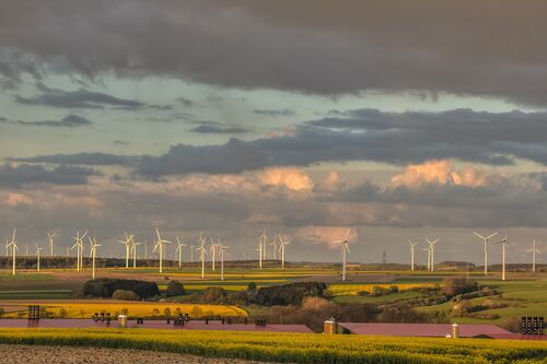 Natur und Technik_Rapsblüte u. Windkraft