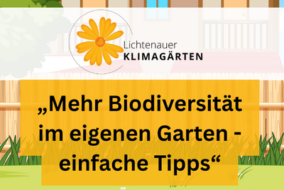 Garten-Biodiversität: Einfache Tipps für mehr Vielfalt