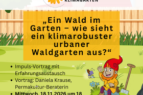 Ein Wald im Garten - wie sieht ein klimarobuster urbaner Waldgarten aus?