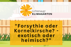 Vortrag Klimagärten: Forsythie oder Kornelkirsche - exotisch oder heimisch?