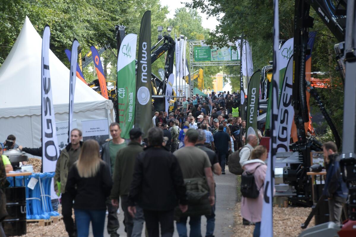 DLG Waldtage 2025