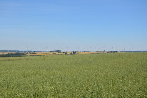 Feld bei Lichtenau