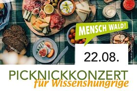 Picknick-Konzert Naturpark 2026