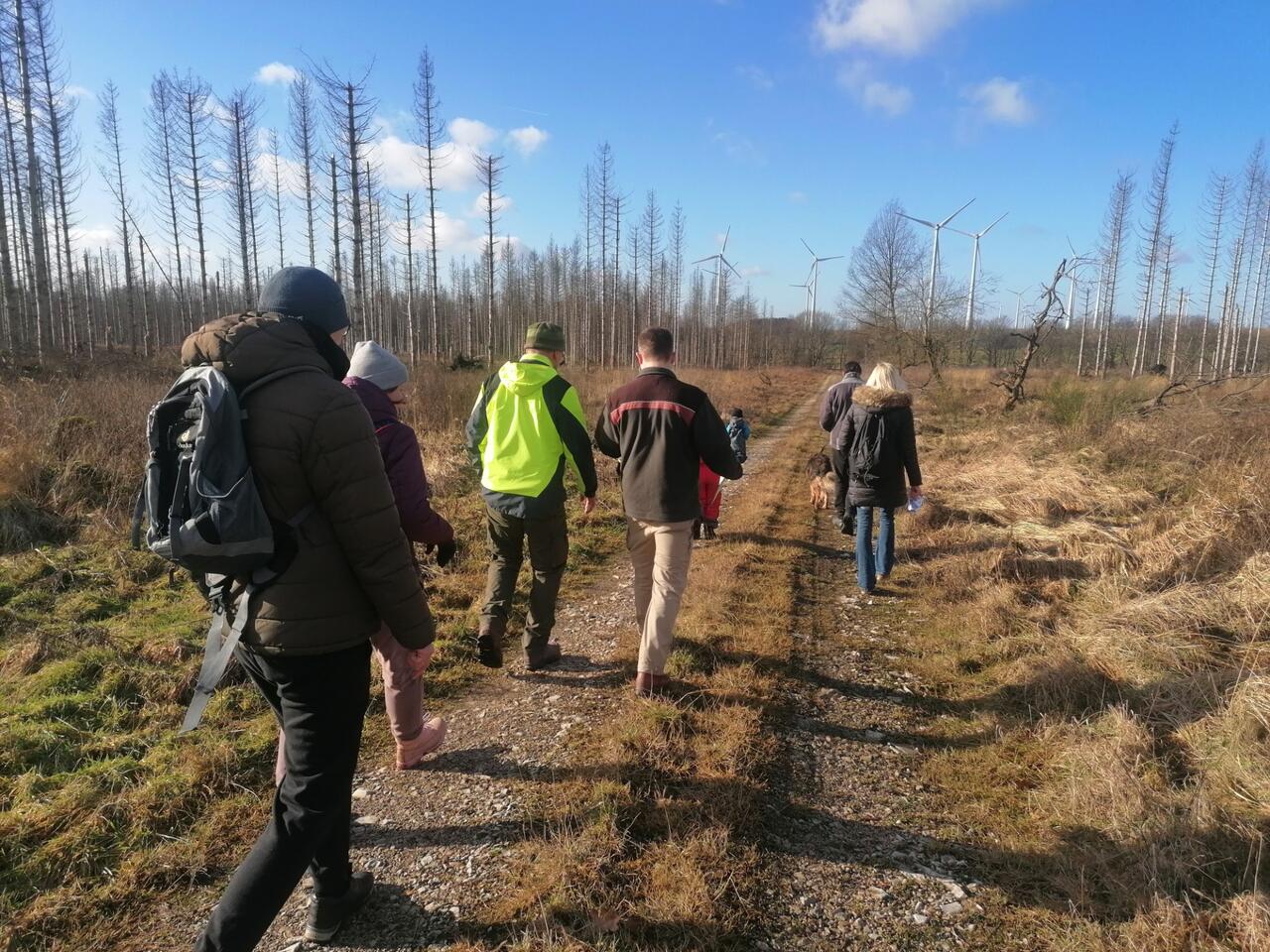 Naturstrolche für Groß und Klein – Auf den Spuren des Klimapfades in Lichtenau