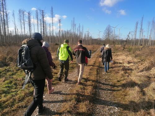 Naturstrolche für Groß und Klein – Auf den Spuren des Klimapfades in Lichtenau